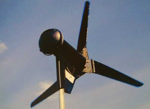 Um t&iacute;tulo para uma foto sem titulo