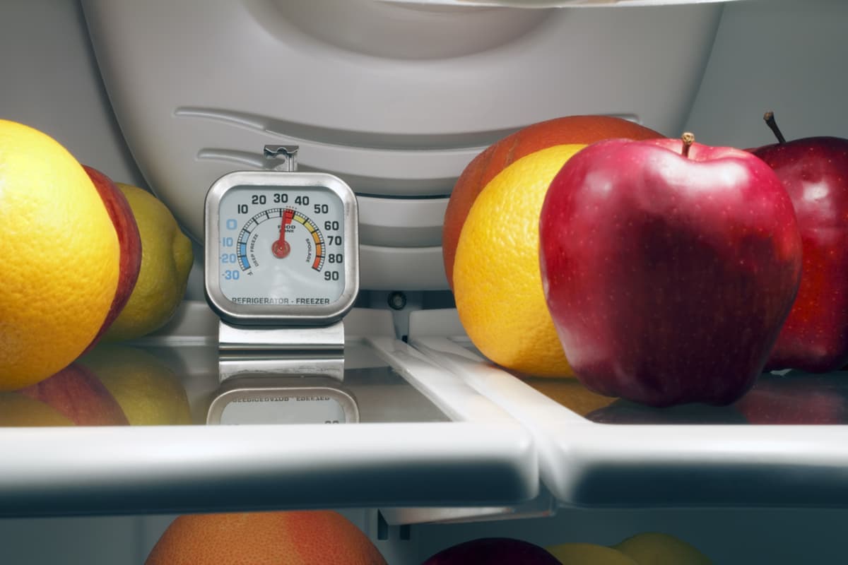 prateleira-da-geladeira-com-termometro-e-frutas