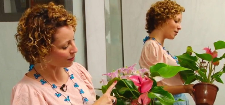 flash-minhas-plantas-banheiro