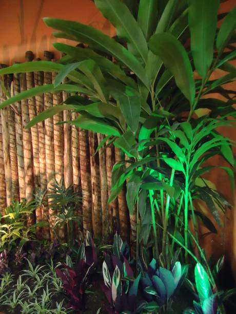 Neste jardim assinado pela designer de interiores Claudia Cantreva, de Niterói  (RJ), mourões de eucalipto tratado em autoclave revestem a parede e servem de pano de fundo para todo o projeto. Como o espaço foi encomendado por uma Casa que realiza tratamentos terapêuticos e energéticos, a profissional optou pelo verde (cor que possui efeito revigorante) e laranja (tom quente que desperta o apetite). O jardim ainda conta com 16 espécies de plantas, entre bromélias e lírios e espécies como Espada de São Jorge e Comigo Ninguém Pode.