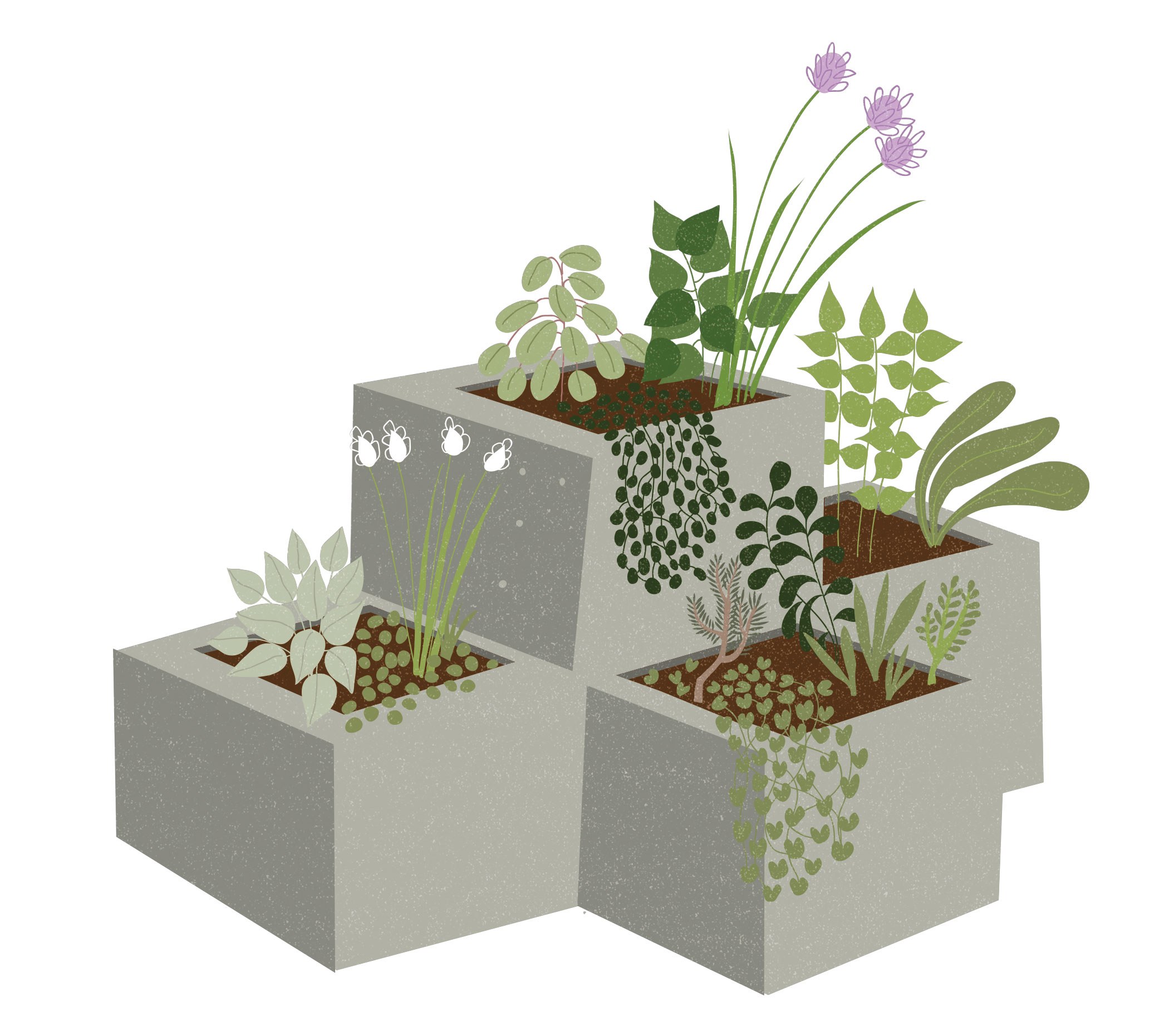 jardim-de-ervas-aromaticas-em-blocos-cimento-ilustracao-do-livro