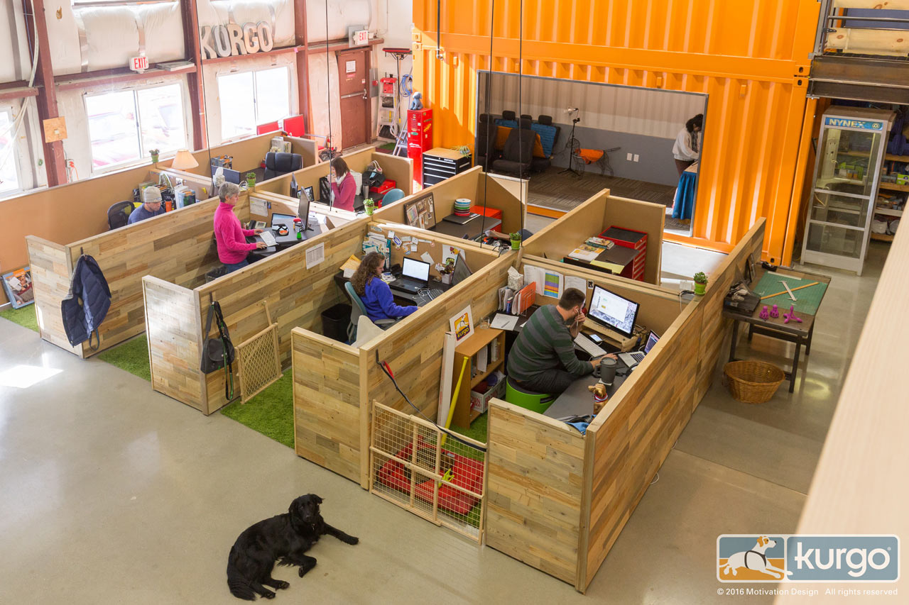 7-escritorio-dog-friendly-e-feito-de-conteineres-e-elementos-ludicos