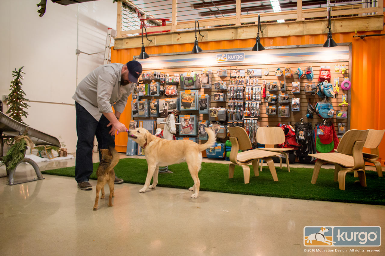 4-escritorio-dog-friendly-e-feito-de-conteineres-e-elementos-ludicos