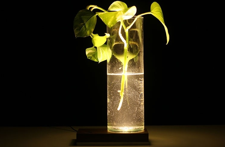 lampada2