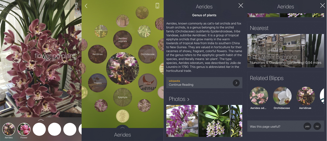 montagem-app-identifica-flores-celular