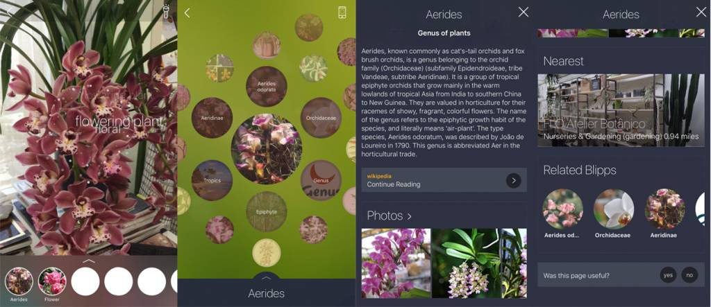 montagem-app-identifica-flores-celular