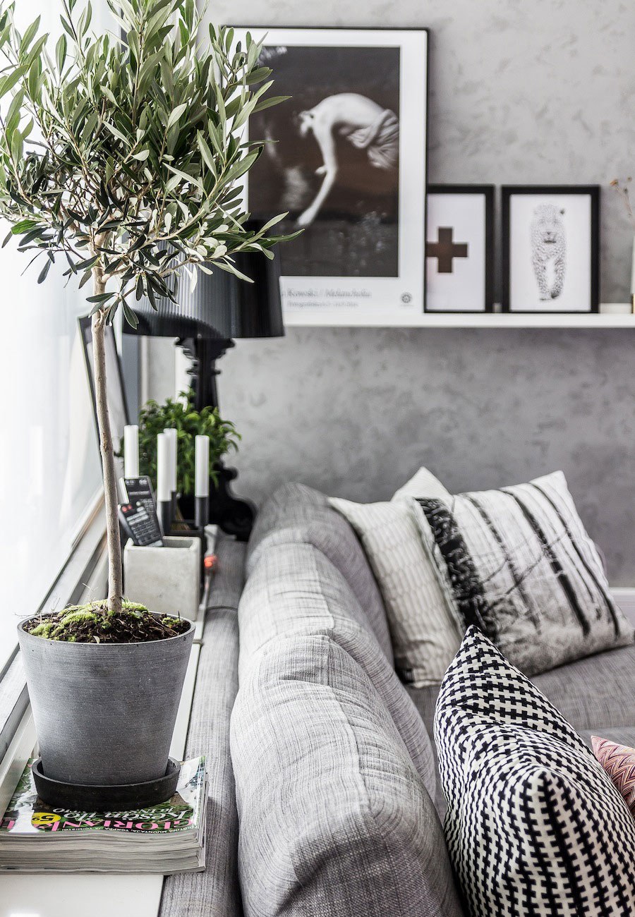 sala-com-pequena-árvore-na-decoração