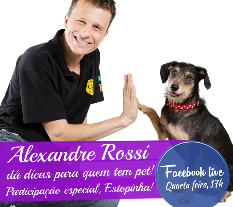 Trasmissao_AR_Portal-Casa_Certa
