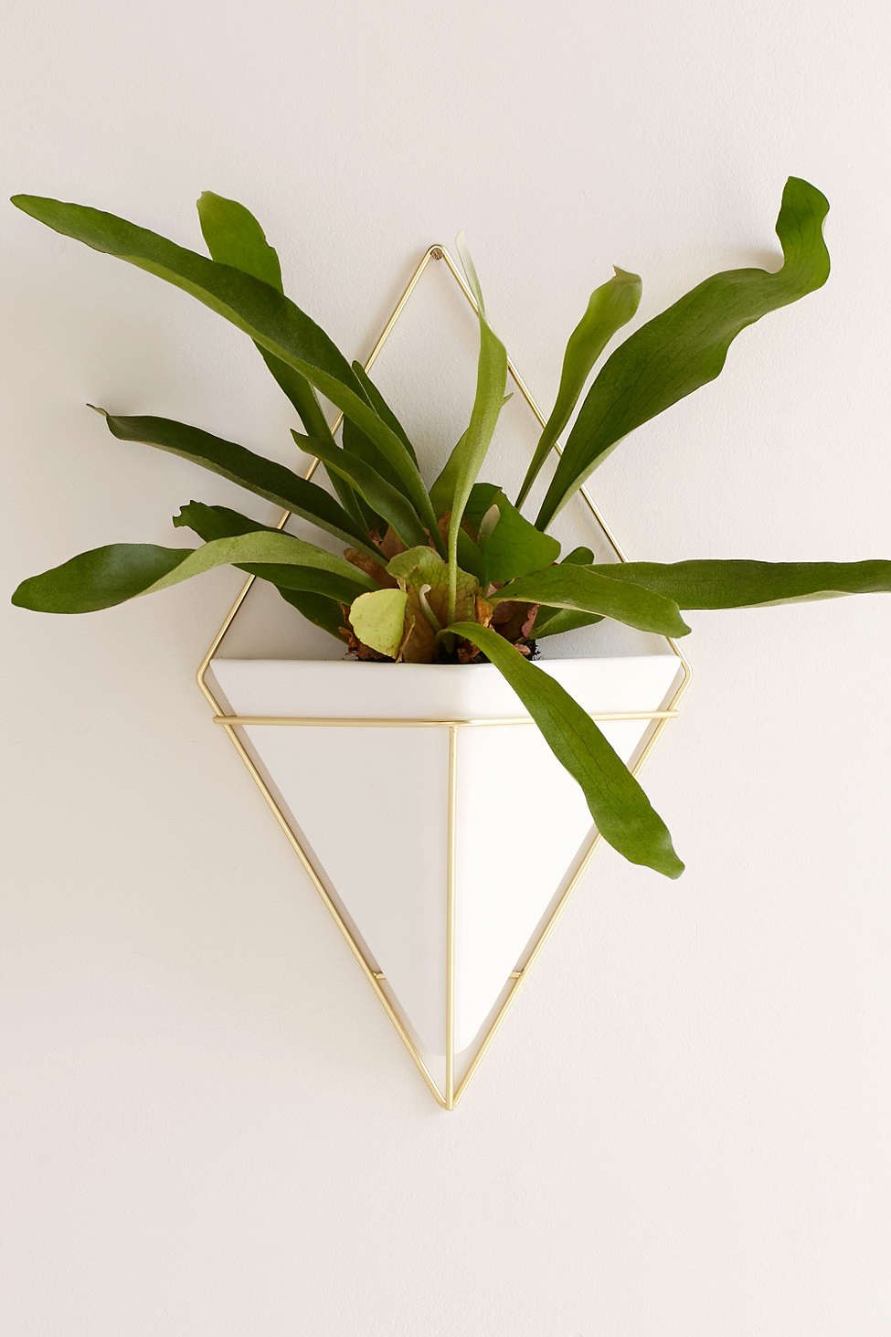 vaso-geometrico-com-tubos-dourados-metal