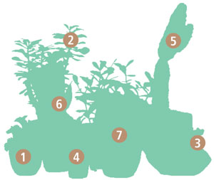 01-um-jardim-feito-com-plantas-resistentes-e-pouca-manutencao