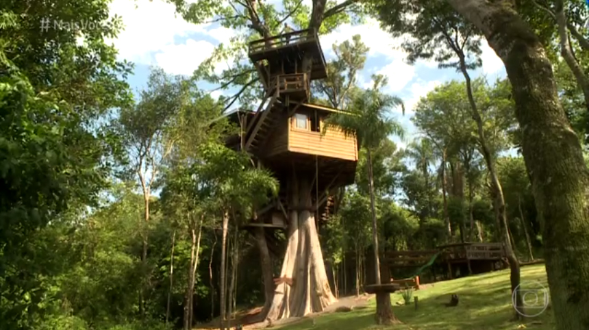 Galvão Bueno constrói casa na árvore em sua fazenda