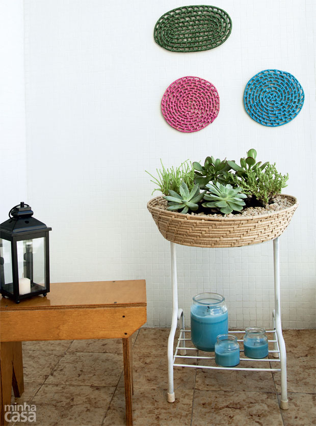 02-suculentas-plantas-faceis-de-cuidar