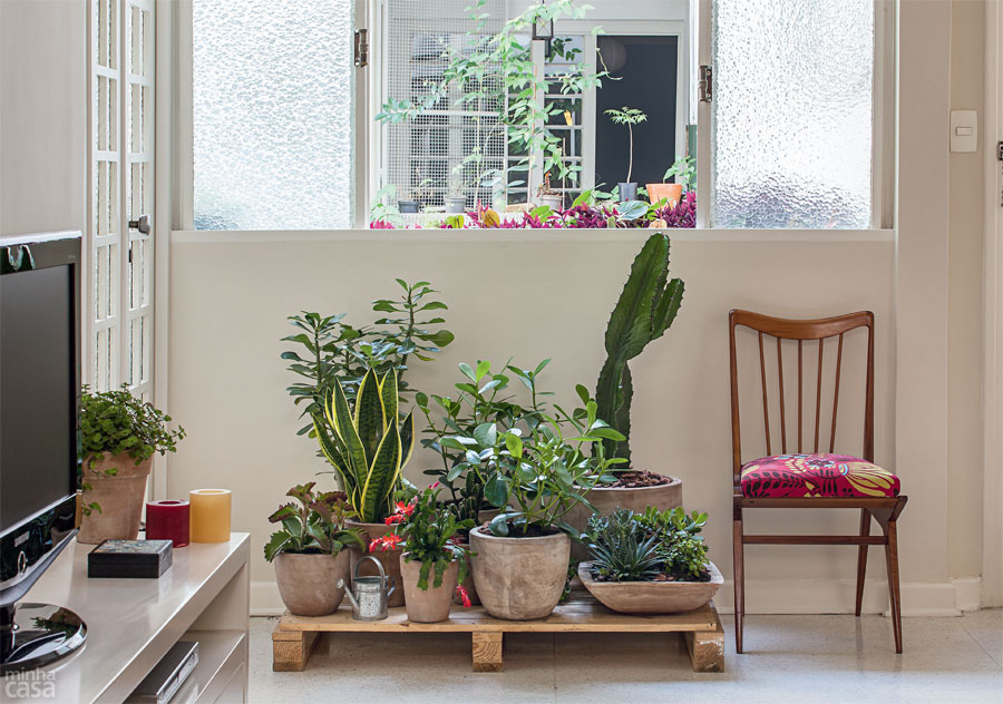 02-um-jardim-feito-com-plantas-resistentes-e-pouca-manutencao