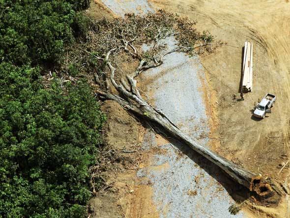 Mais 6ºC e teremos hidrelétrica em savana amazônica, em 2070
