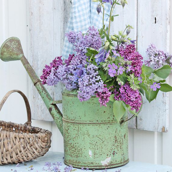 Significado das flores na decoração; lilases em vaso feito de regador antigo verde