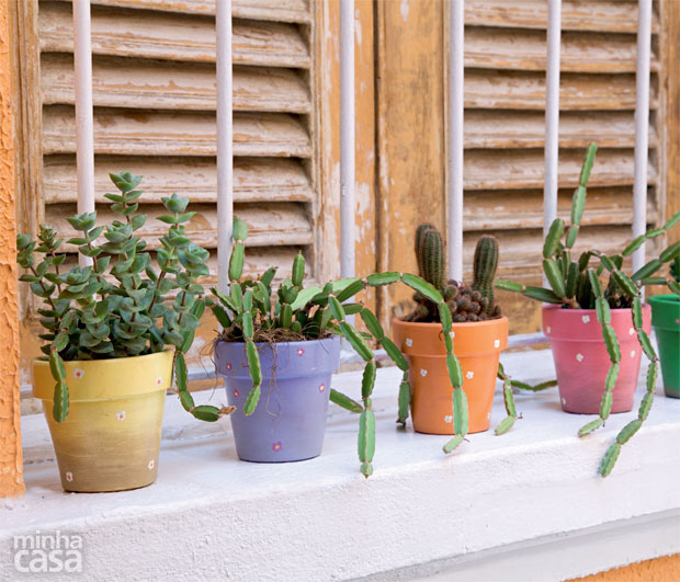 04-suculentas-plantas-faceis-de-cuidar