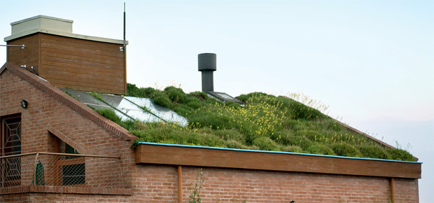 04-telhado-verde