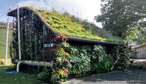 05-tecnologia-incorpora-recursos-de-reuso-de-agua-a-telhados-verdes