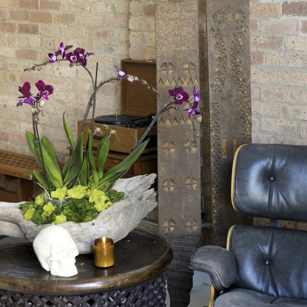 Significado das flores na decoração; orquídea roxa em mesa lateral de madeira.