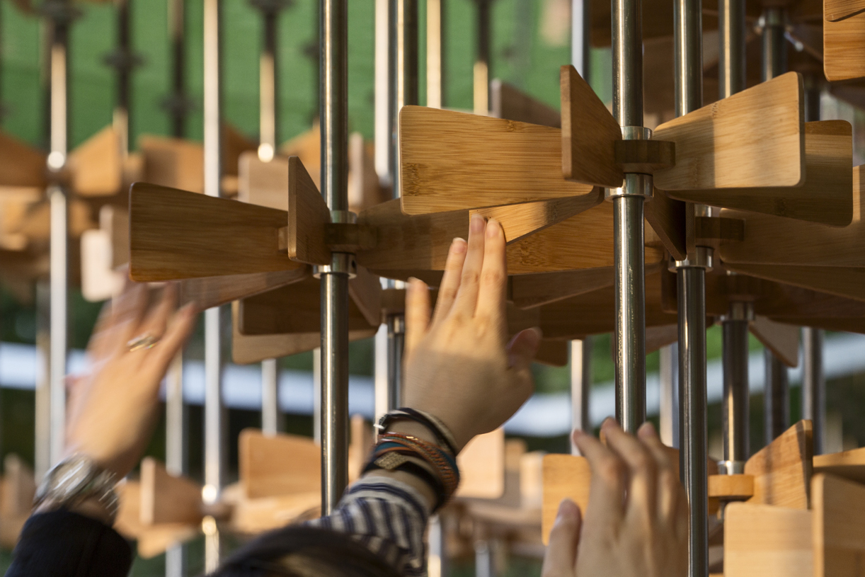 1-floresta-do-museum-gardens-apresenta-como-um-ser-humano-pode-promover-grandes-mudancas-sociais