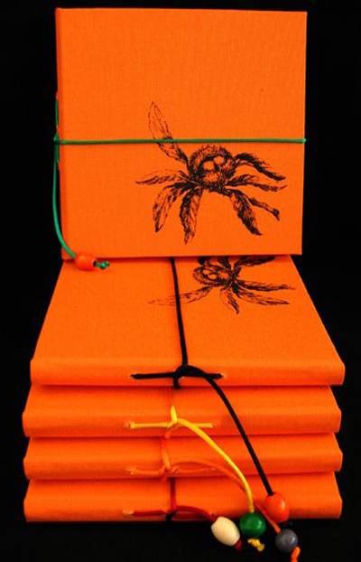 Um t&iacute;tulo para uma foto sem titulo