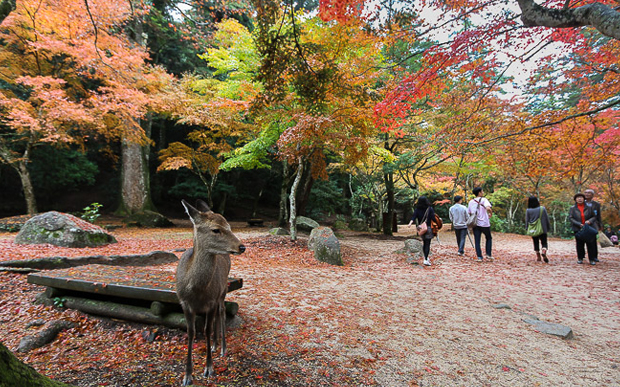 2 - Japão
