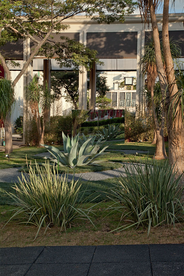 JARDIM DA SIMPLICIDADE - Marcelo Faisal, paisagista. Impactante, sim. Trabalhoso, não. Para quem não achava essa parceria possível, a prova é o vasto jardim que reúne agaves, dracenas e bambus. Essa vegetação pede pouca água e raras podas. Ao usar um número pequeno de espécies, o paisagista reforça o poder estético do conjunto. “A idéia era criar uma área de contemplação, de manutenção simples e de realização rápida”, resume Marcelo Faisal em seu retorno à Casa Cor. Todos os materiais usados seguem o mesmo raciocínio, do piso cimentício preto, com capacidade drenante de 90%, ao pergolado de eucalipto certificado.