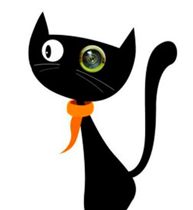 5-gato-casa