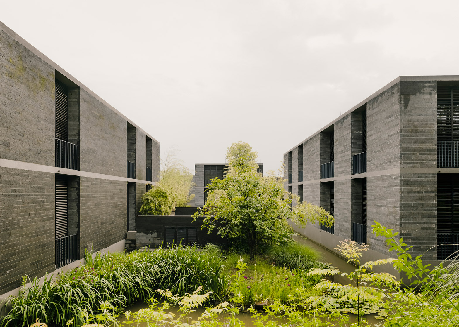The Xixi Wetland Estate 5