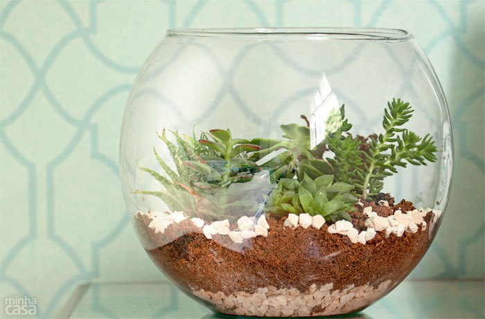 abre-passo-a-passo-aprenda-a-fazer-um-terrario abre-passo-a-passo-aprenda-a-fazer-um-terrario