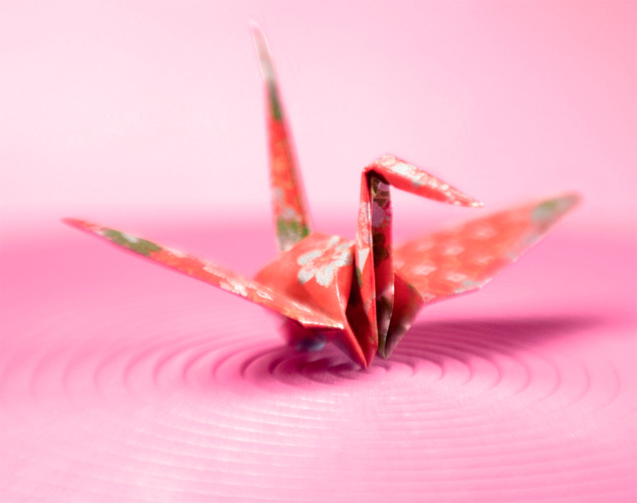 abre-tsuru-conheca-esta-figura-do-origami-e-aprenda-como-fazer-um