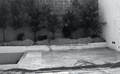 Um t&iacute;tulo para uma foto sem titulo