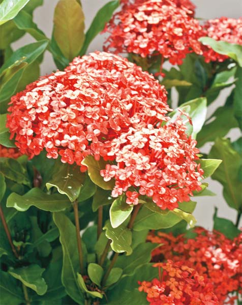 Um t&iacute;tulo para uma foto sem titulo