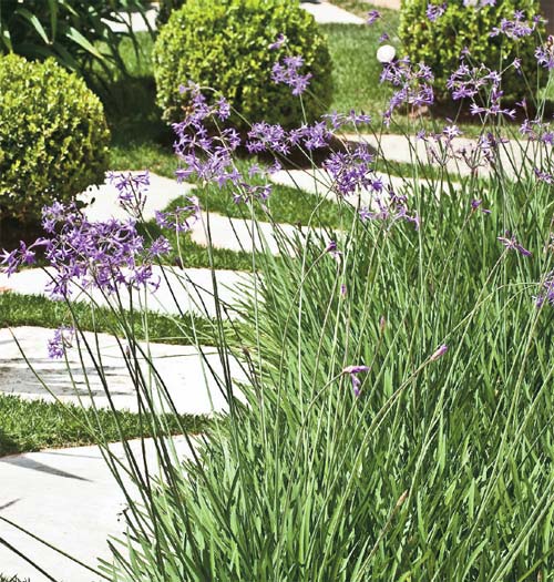 Um t&iacute;tulo para uma foto sem titulo