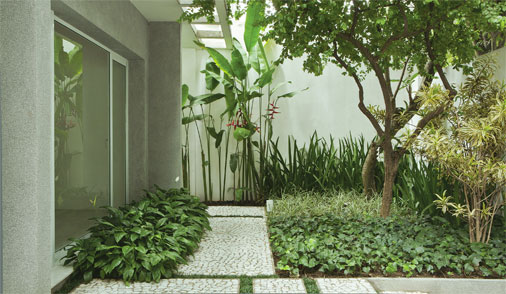 Jardim cheio de sombra com plantas de diferentes tons de verde | CASA.COM.BR