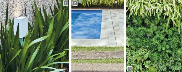 aec297_28-meujardim2