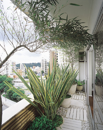 Reaproveitados de uma piscina, os decks foram lixados e pintados com tinta ac...