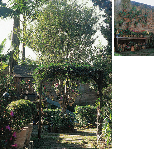 Aten&ccedil;&atilde;o especial para as orqu&iacute;deas Atr&aacute;s do pequeno pergolado...