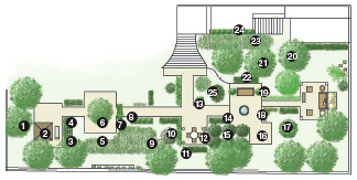 Localize as esp&eacute;cies:1.Podocarpo; 2. Primavera; 3.Larajinha; 4.Viburno; 5.Cl...