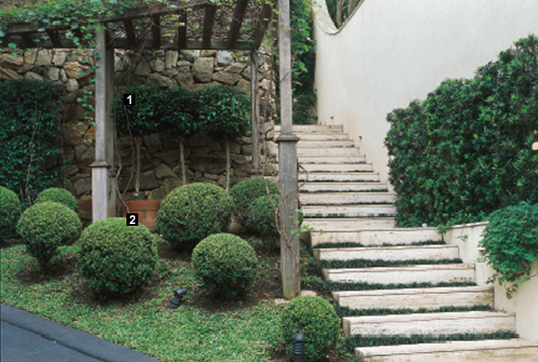 De influência européia, a entrada da casa exibe uma escadaria de mármore e...