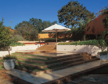 Vasos com laranja kinkan e lim&atilde;o ladeiam as escadas. Os canteiros, que tiver...