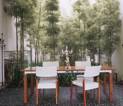 O mesmo jardim que se v&ecirc; na entrada da casa faz as vezes de cerca viva para ...