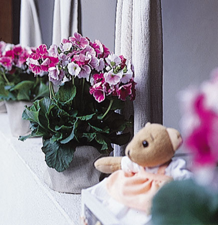 Flores, doces enfeitados e bonequinhos de pelúcia (ursinho Rosária Frisoni)...