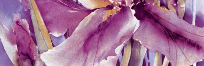 A Portinari lançou na Revestir uma linha de cerâmicas com motivos florais. ...