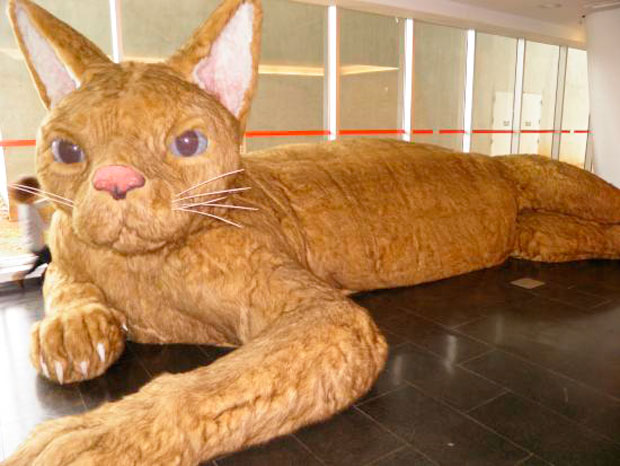 gato-gigante-2