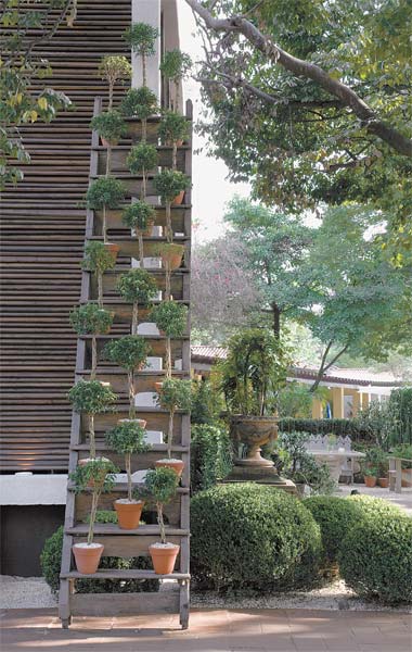 Um t&iacute;tulo para uma foto sem titulo