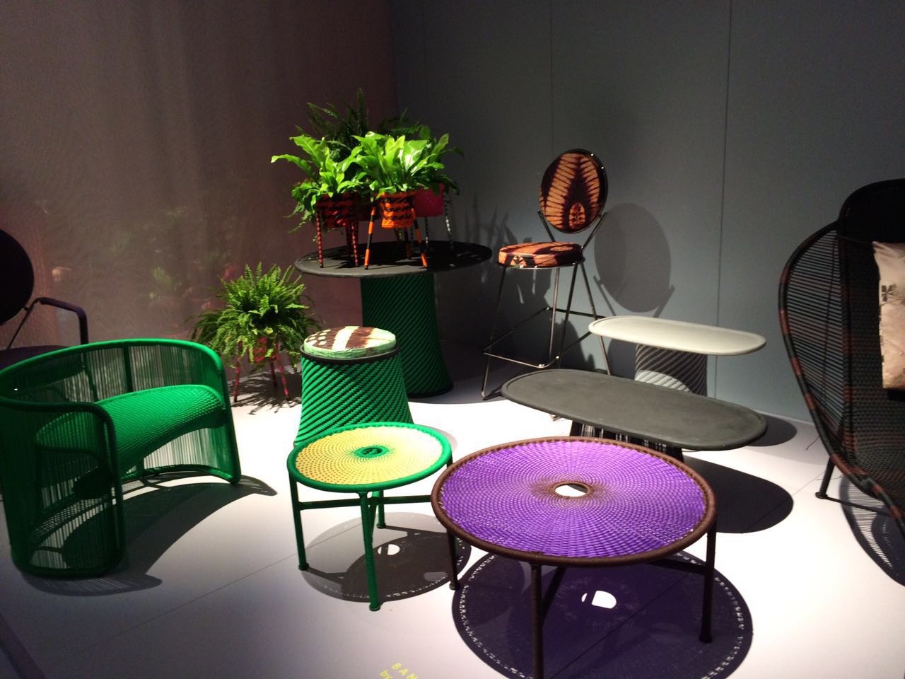 4-milao-moroso