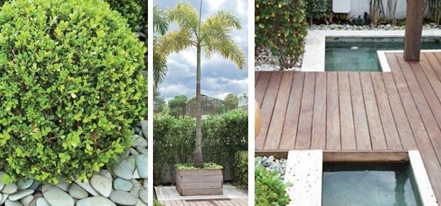 Terreno dos vizinhos foi comprado e virou clube para as crianças