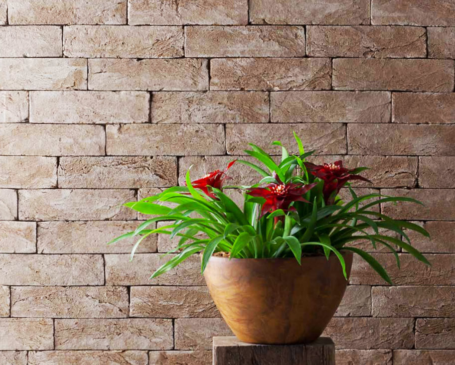 Lepri lança revestimento fabricado com a lama da cidade de Mariana