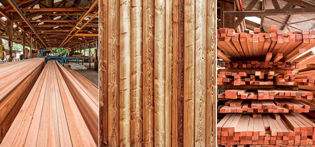 madeira-certificada-construir-casa-01